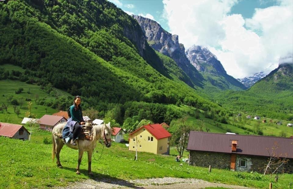 Dedushi Guesthouse &Wood Cabins-Camping Place Gusinje Экстерьер фото